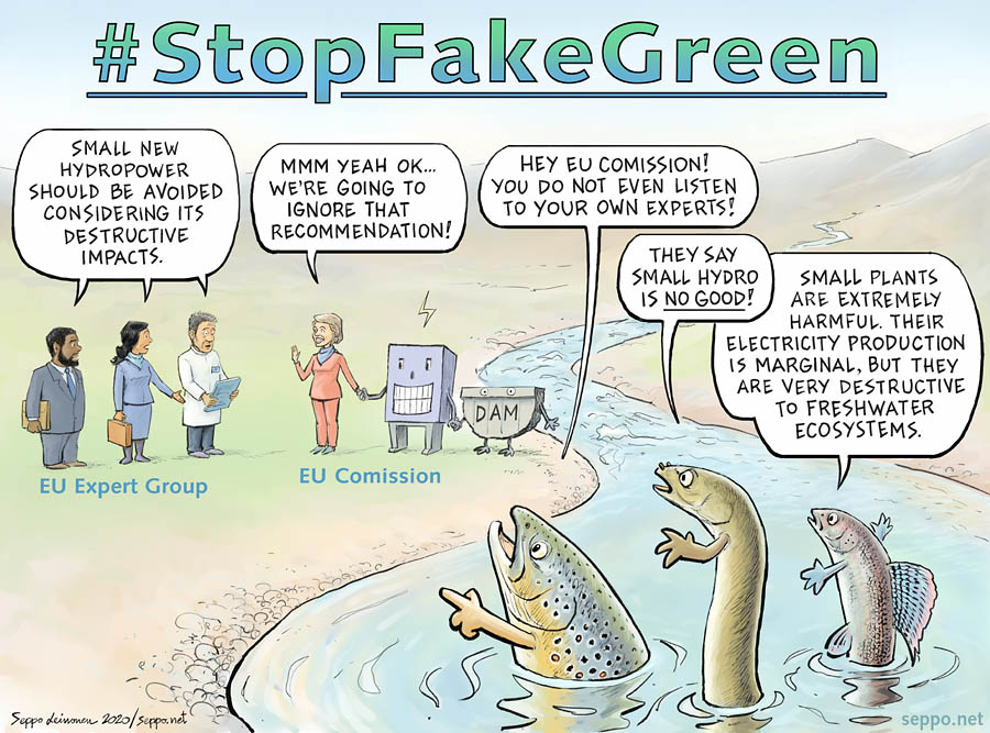  Stop Fake Green Recovery, keywords:  Hydro power small EU Comission Expert group dam subsidy fake green biodiversity ecosystem destruction Water framework directive water law industry tear down trout eel grayling river politcians EU WWF cartoon