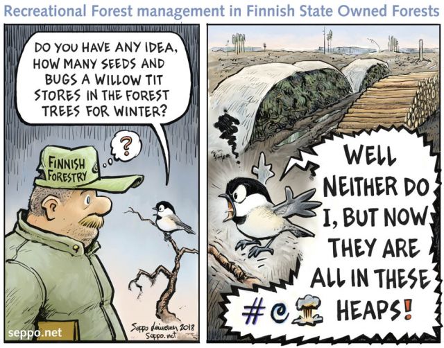  Recreational Forest Clearcut and Willow Tit, keywords:
 Finland bioeconomy bioenergy branch removal cartoon clearcut forest forestry metsähallitus parus poecile montanus picking rake raking stump willow tit