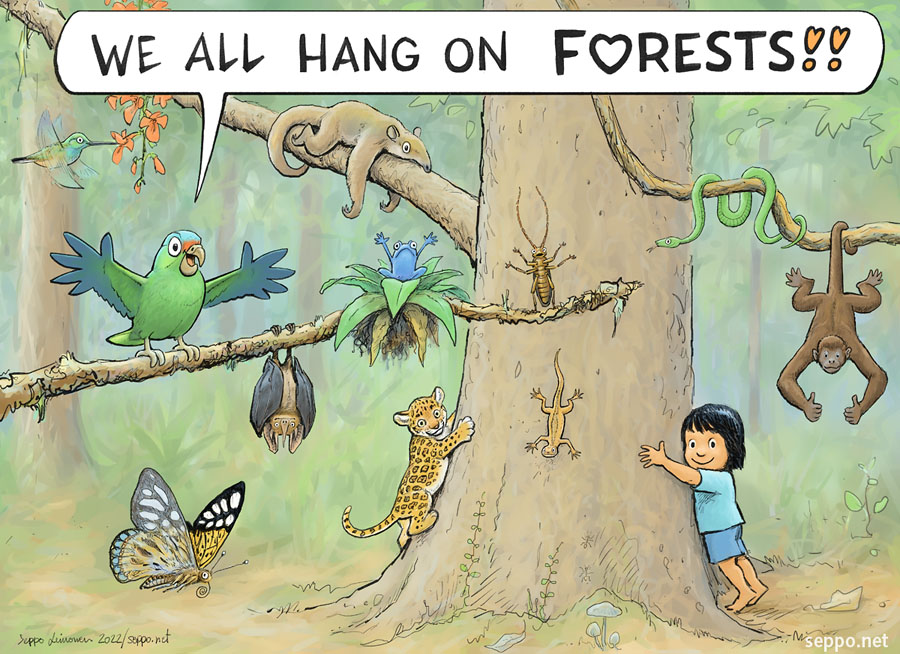  EU forest law - hang on forests, keywords:  forest rainforest health environment environmental health human anteater monkey butterfly jaguar snake beetle kolibri lizard bat frog WWF cartoon