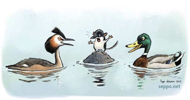  Think tank about water body restoration , keywords:
 think tank discussion brainstorming water body restoration rehabilitation Great Crested Grebe Mallard Water Shrew Podiceps cristatus Anas platyrhynchos Neomys fodiens cartoon