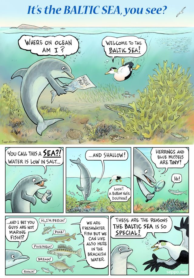  , keywords:
 Baltic Sea  research eider dolphin scuba diving research marine science monitoring climate biodiversity pollution brackish low salt shallow freshwater fish blue mussel cartoon