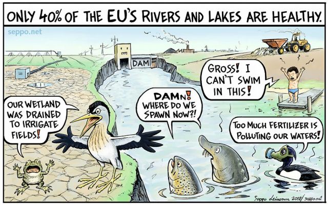  Only 40 % of the EU's rivers and lakes are healthy, keywords:
 EU&#039;s rivers lakes Water framework directive water law industry farming fertilizer pesticide irrigation agricultue industrial farming pollution tear down sturgeon trout tufted duck toad little bittern child swimming politcians EU WWF cartoon