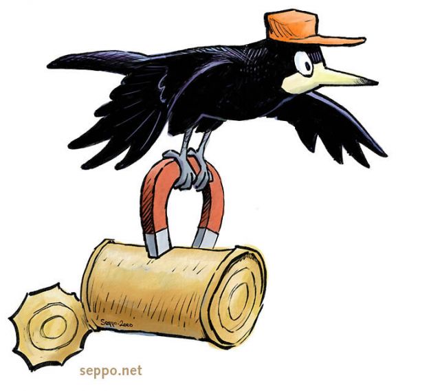  Rook collects scrap metal, keywords:
 rook metal scrap collection waste management recycling Corvus frugilegus cartoon