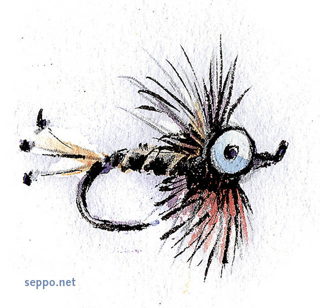  Wet fly, keywords:
 fly fishing wet fly cartoon
