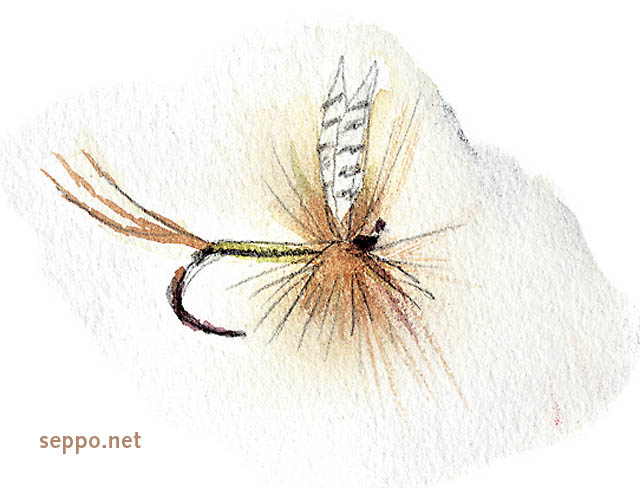  Dry fly, keywords:
 fly fishing dry fly cartoon