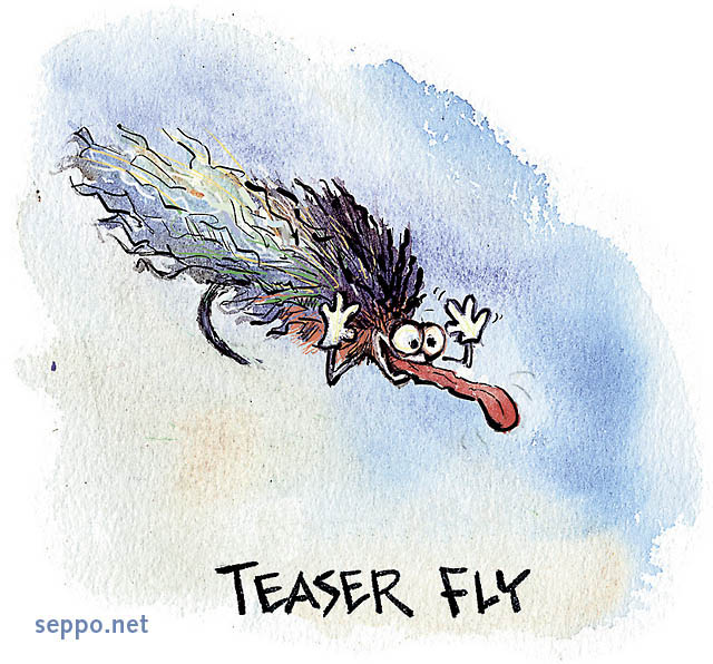  Teaser fly, keywords:
 fly fishing equipment fly lure teaser streamer humor cartoon