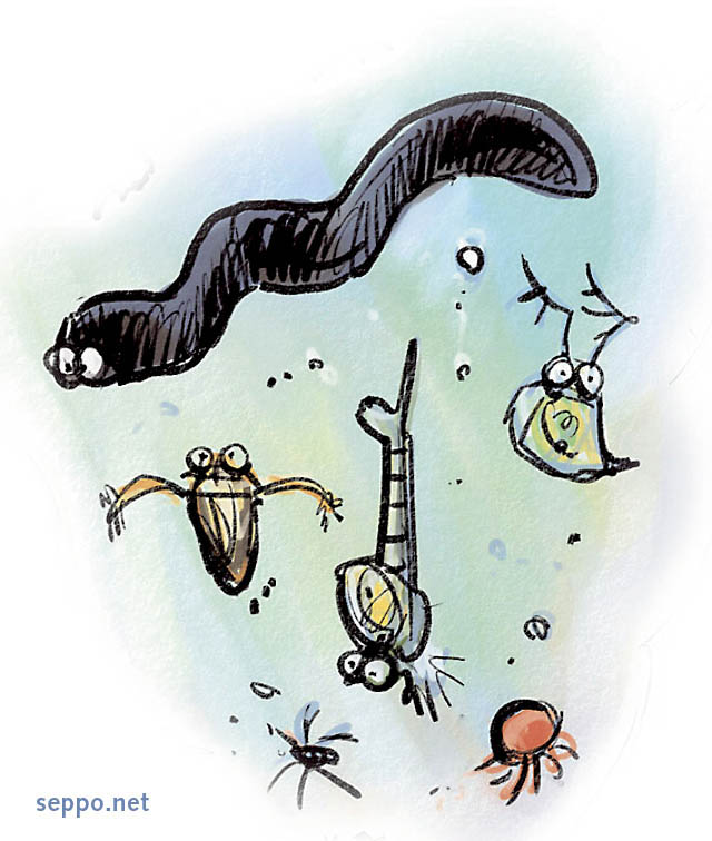  Aquatic organisms, keywords:
 Aquatic organisms bug water flea gnat mosquito leech insect cartoon