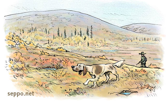  Grouse hunt in Lapland with gundog, keywords:
 hunt hunting willow grouse hunter gundog Lapland fell fall colors tundra wilderness cartoon