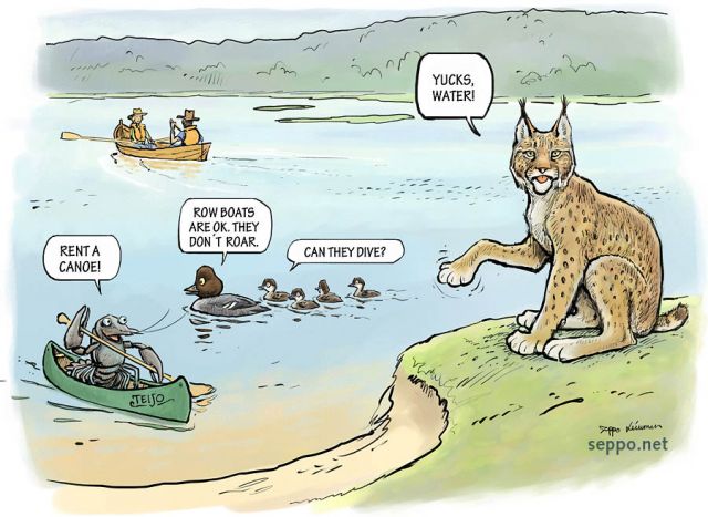  Enjoying lake nature , keywords:
 Teijo Hamarinjrvi Finland rowing outdoors paddling canoe rowing boat row boat Eurasian lynx common goldeneye silence crayfish crawfish Lynx lynx Astacus astacus Bucephala clangula cartoon