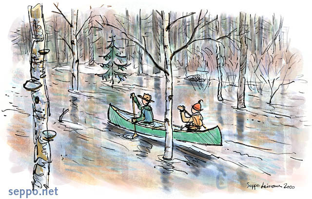  Paddlers and spring flood in forest, keywords:
 paddling paddlers indian canoe spring time flood flooding forest cartoon