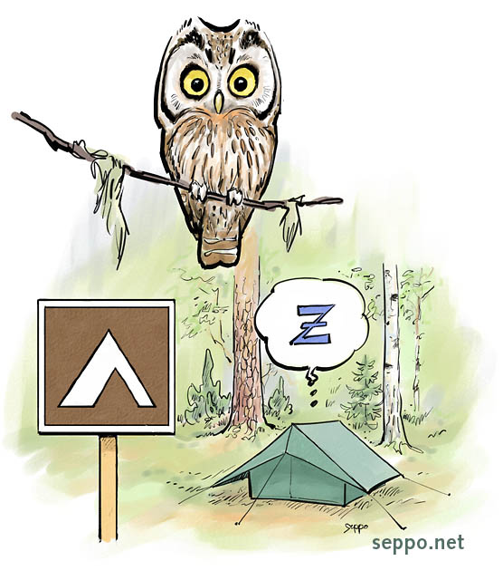  Boreal owl at camping site, keywords:
 tent camping campsite outdoors nature sign Boreal owl Aegolius funereus cartoon