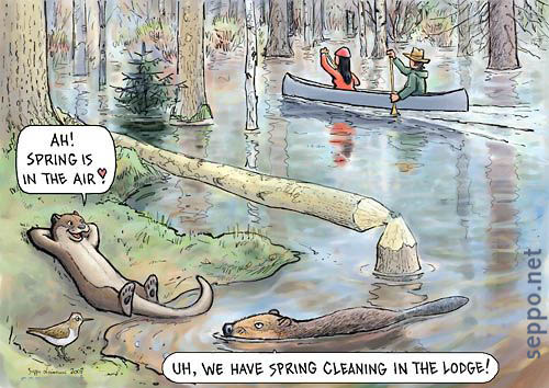  Spring in the air by the riverside, keywords:
 spring cleaning air love canoe canoeing canoeist flood otter beaver common sandpiper Lutra lutra Castor fiber Actitis hypoleucos wildlife nature cartoon