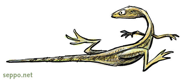  Whiptail lizard, keywords:
 whiptail lizard racerunner lizard reptile Cnemidophorus cartoon