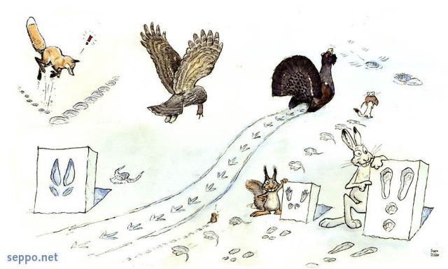  Animal tracks in snow, keywords:
 animal tracks footprints snow red fox lapland owl capercaillie shrew stoat ermine bank vole red squirrel hare moose Vulpes vulpes Strix nebulosa Tetrao urogallus Sorex araneus Mustela erminea Myodes glareolus Sciurus vulgaris Lepus timidus Alces cartoon
