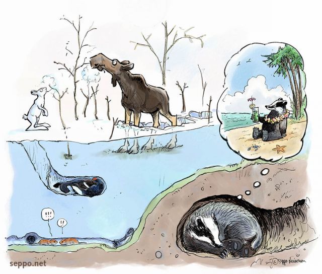  Overwintering  hibernation, keywords:
 overwintering winter frost crust snow cave feeding hibernation torpor hare moose black grouse bank vole badger Meles meles nest sleep dream cartoon