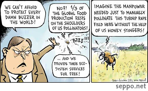  Biodiversity and bumble bees, keywords:
 biodiversity nature pollination bee bumble bee honey stinger food protection ecosystem service cartoon
