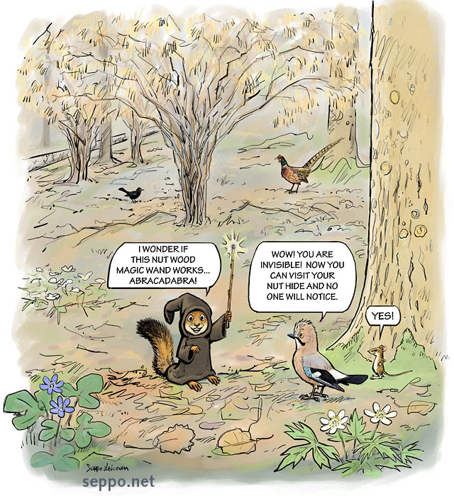  Hazelnut grove, keywords:
 hazelnut grove nut hide nut cache druid squirrel European jay yellow-necked mouse blackbird common pheasant liverwort kidneywort pennywort wood anemone windflower cartoon