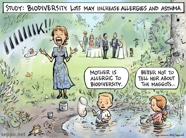  Biodiversity loss may increase allergies, keywords:
 nature biodiversity natural environment child children dirt allergy asthma health research allergen sensitivity diverse skin bacteria inflammatory disease cartoon