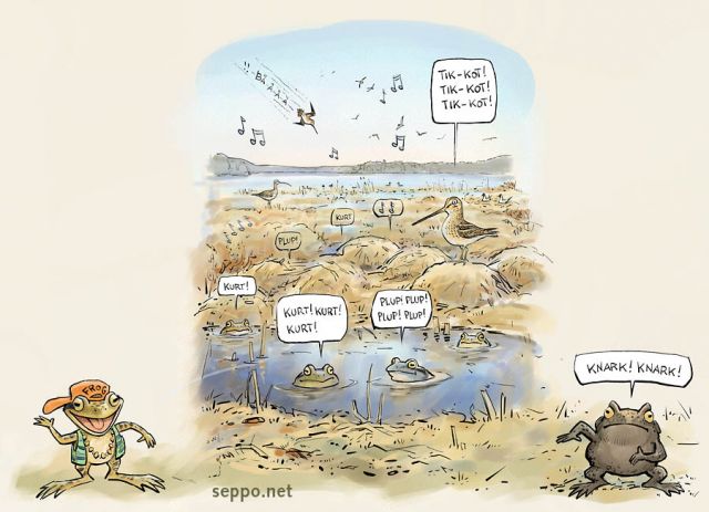  Toad and frogs - spring jam session at wet meadow, keywords:
 common frog moor frog toad common snipe curlew wader flooded meadow wetland spring spawning breeding concert sounds of nature Rana temporaria Rana arvalis Bufo bufo Gallinago gallinago cartoon