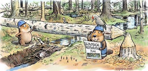  Ecological Restoration, keywords:
 ecological restoration biodiversity forest mire beaver Grey-headed Woodpecker Lesser Spotted Woodpecker beetles bugs sustainabe development ecological old growth forest nature cartoon