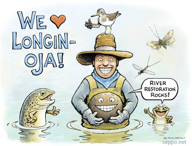  We love river restoration, keywords:  restoration trout spawning river fish migration rivers Salmo trutta common sandpiper Actitis hypoleucos mayfly caddisfly frog stone Longinoja fishmigration cartoon
