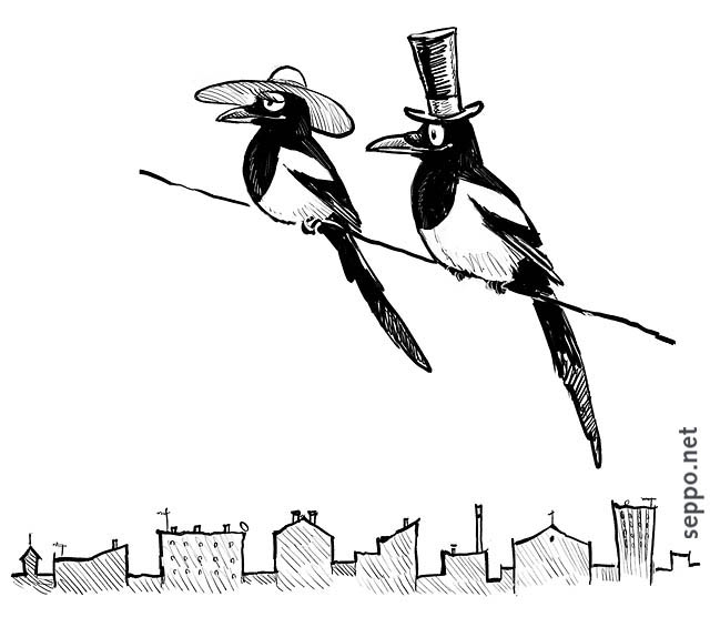 Magpie couple online, keywords:
 Eurasian magpie European Common magpie couple male female city high hat online Pica pica cartoon