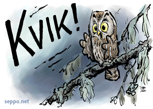  Boreal Owl squeals, keywords:
 Boreal Owl voice squeal scream warning Aegolius funereus cartoon
