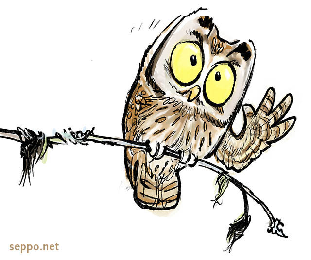  Boreal Owl listening, keywords:
 Boreal Owl listening hearing sense Aegolius funereus cartoon