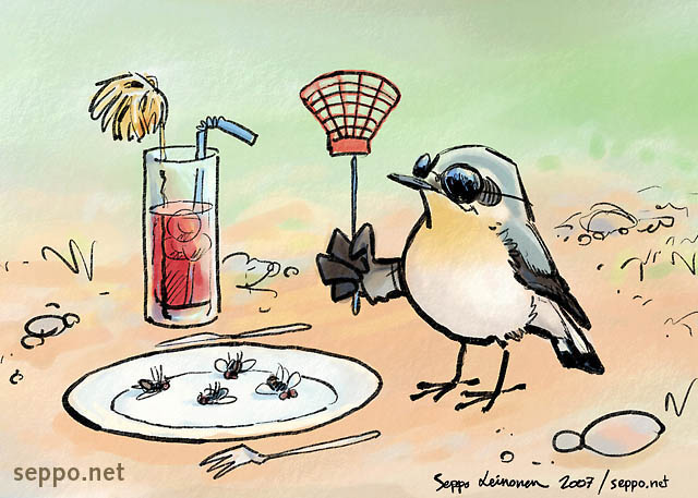  Wheatear having insect meal, keywords:
 Northern wheateater insect-feeding meal swatter Oenanthe oenanthe cartoon