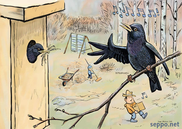  Spring cleaning and Starling, keywords:
 Common starling European starling spring cleaning birdhouse birdsong singing Sturnus vulgaris courtyard cartoon