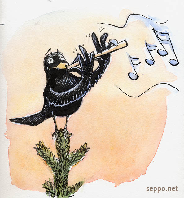  Blackbird and flute, keywords:
 Common blackbird Eurasian blackbird flute playing singing birdsong evening Turdus merula cartoon