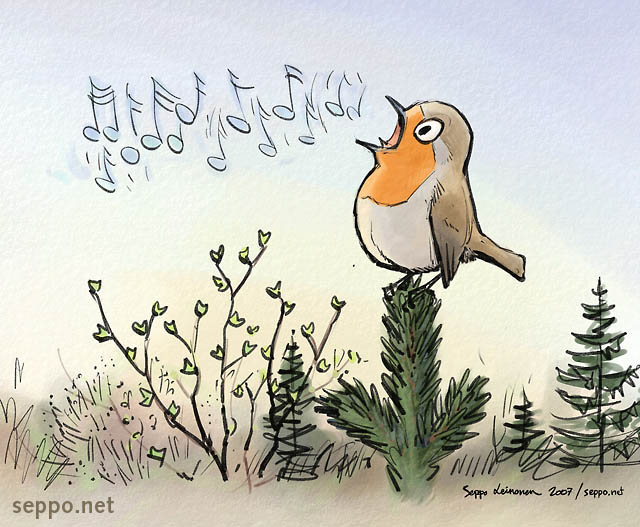  Robin singing in spring, keywords:
 European Robin robin spring birdsong sing singing Erithacus rubecula cartoon