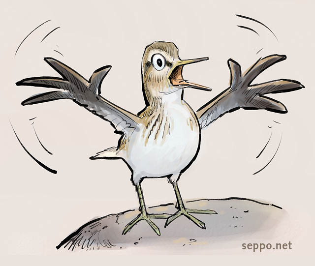  Sandpiper warning, keywords:
 common sandpiper warning warns signal wader Actitis hypoleucos cartoon