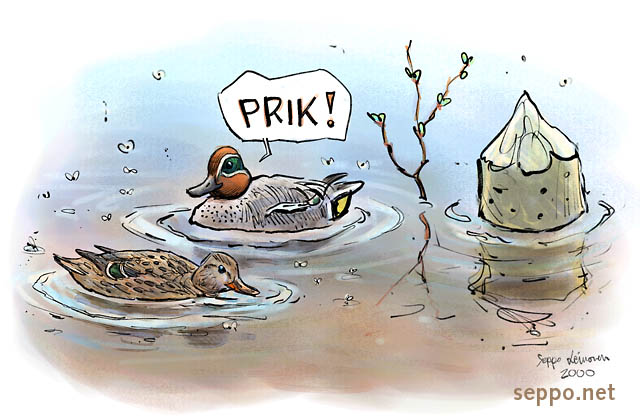  Common Teal – male and female, keywords:
 Common Teal Eurasian Teal waterfowl water bird duck bird male female couple Anas crecca cartoon