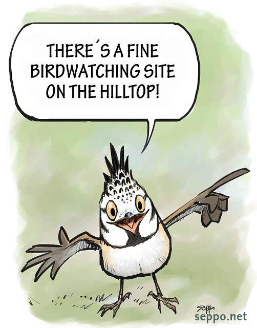  Crested tit guides to birding site, keywords:
 birdwatching birding site birds european crested tit Parus cristatus cartoon