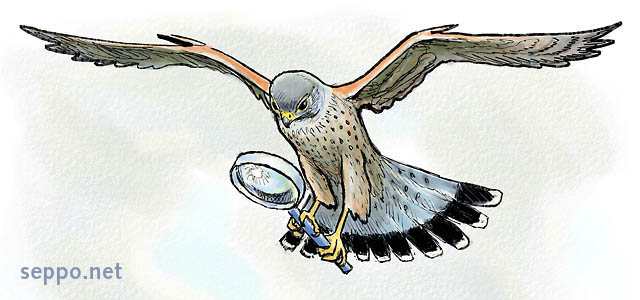  Kestrel and loupe, keywords:
 Common Kestrel European Kestrel Eurasian Kestrel loupe magnifying glass magnifier eyesight vision sense Falco tinnunculus cartoon