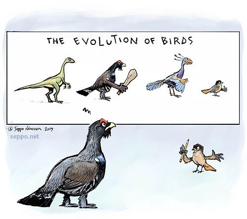  The evolution of birds, keywords:
 birds evolution Capercaillie Wood Grouse Siberian Jay Archaeopteryx dinosaur Tetrao urogallus Perisoreus infaustus humour cartoon