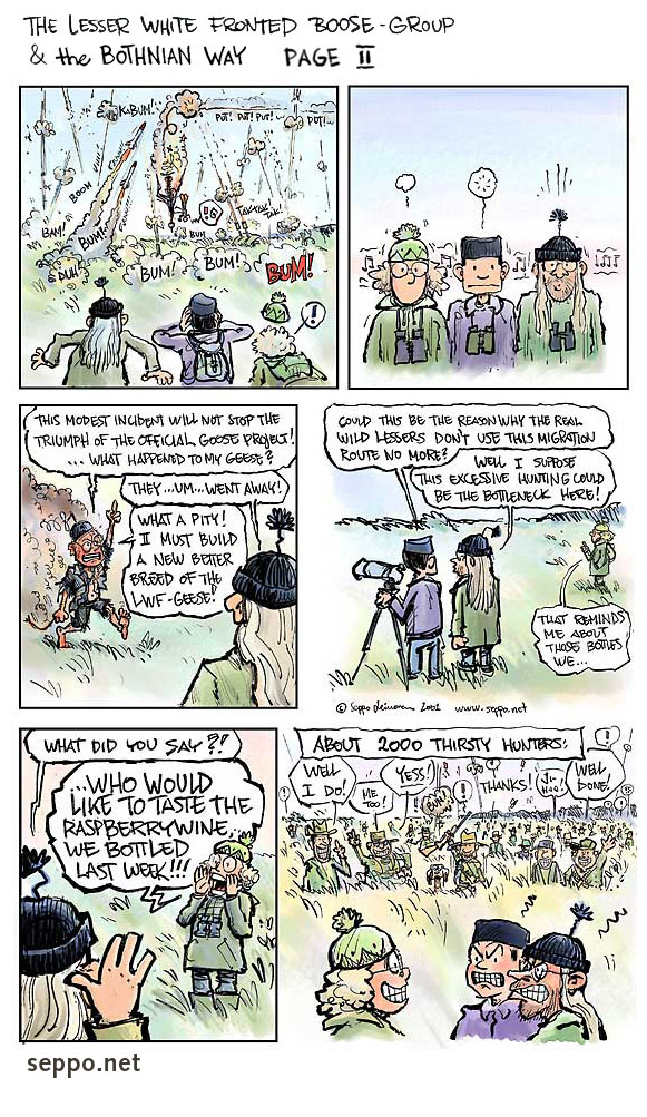  The Lesser White-fronted Boose Group & The Bothnian Way, keywords:
 Lesser White-fronted Goose Anser erythropus The Lesser White-fronted Boose Group The Bothnian Way cartoon endangered species