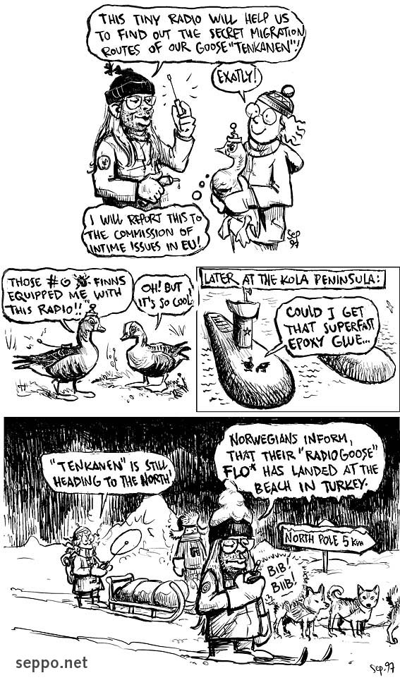  The Lesser White-fronted Boose Group & Radio Goose Tenkanen, keywords:
 Lesser White-fronted Goose Anser erythropus The Lesser White-fronted goose group cartoon endangered species