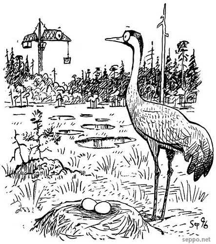  Crane vs. crane, keywords:
 crane moss werland swamp habitat migratory bird protection biodiversity peat development cartoon