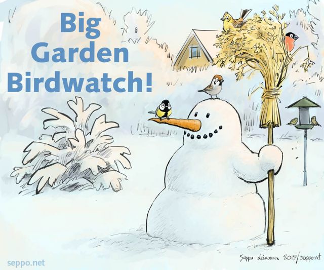  Big Garden Birdwatch, keywords:
 Big Garden Birdwatch birds yard outdoors birdwatching birder great tit tree sparrow yellowhammer bullfinch greenfinch snowman oats sheaf feeder birdlife cartoon