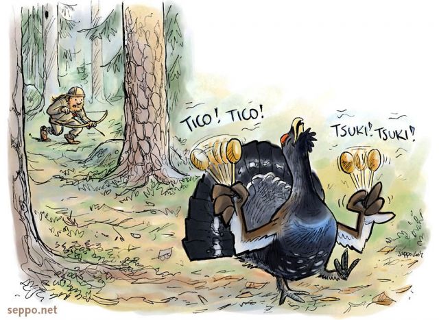  Hunter – Capercaillie – courting display, keywords:
 Western Capercaillie Wood Grouse Heather Cock display mating rites courtship male hunting hunter archer stalking Tetrao urogallus cartoon