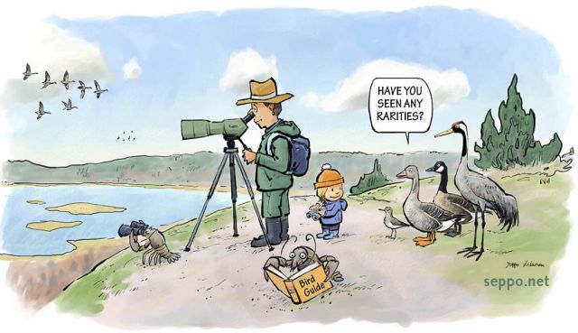  Birdwatching , keywords:
 birds birdwatching birding birder migration wood sandpiper greylag goose Canada goose Common crane Tringa glareola Anser anser Branta canadensis Grus grus crayfish crawfish Astacus cartoon