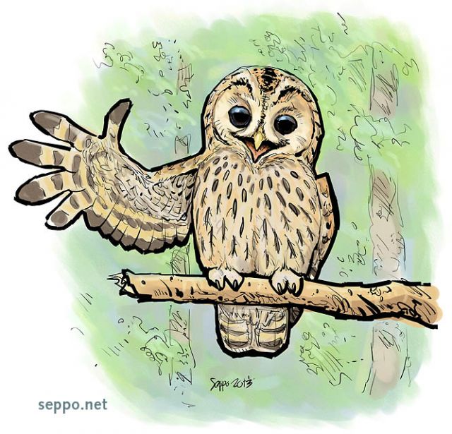 Tawny owl greeting, keywords:
 Strix aluco tawny owl greeting wing cartoon
