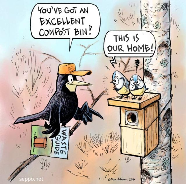  Rook blue tits and nest box, keywords:
 rook blue tit nest box bird birds compost bin cartoon