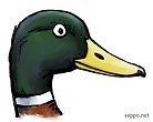 Filename=birds_heinasorsa_nokka_en.jpg
Filesize=58KiB
Dimensions=640x509
Date added=Apr 20, 2012 birds_heinasorsa_nokka_en.jpg