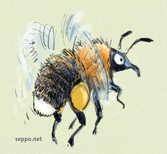  New garden bumblebee with pollen baskets, keywords:
 new garden bumblebee hymenoptera insect pollen basket pollinator Bombus hypnorum cartoon