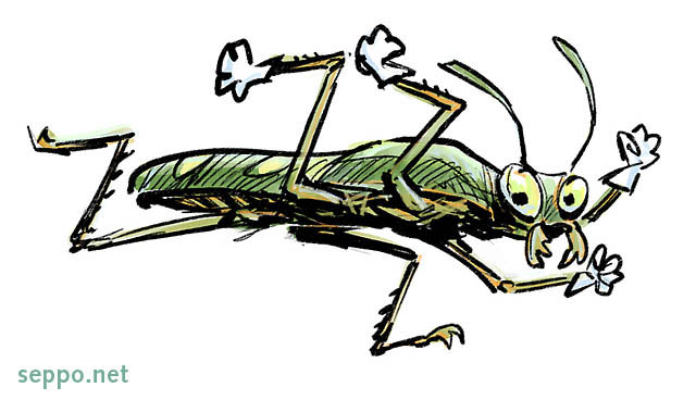  Australian Tiger Beetle – fastest running insect, keywords:
 Australian tiger beetle fastest runner insect bug speed Cicindela hudsoni cartoon