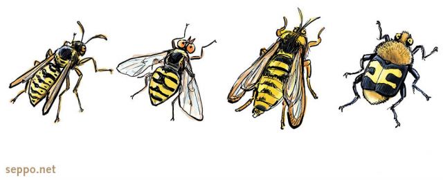  Wasp and look-alike friends, keywords:
 wasp hoverfly flower fly syrphid fly clearwing moth bee beetle scarb beetle insect bug Vespidae Syrphidae Sesiidae Synanthedon Trichius fasciatus cartoon