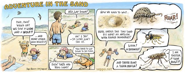  Adventure in the sand dunes, keywords:
 sand adventure antlion beewolf tiger beetle Myrmeleontidae Cicindela Philanthus triangulum bugs kids nature cartoon